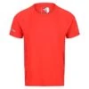 Regatta Camiseta Highton Pro Logotipo Para Hombre Rojo Fuego 1 Regatta Camiseta Highton Pro Logotipo Para Hombre Rojo Fuego -Fitness Tienda camiseta highton pro logotipo para hombre rojo fuego