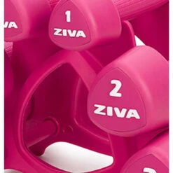 Kit Mancuernas Estudio ZIVA Chic Con Soporte 12 Kg 7 Kit Mancuernas Estudio ZIVA Chic Con Soporte 12 Kg -Fitness Tienda kit mancuernas estudio ziva chic con soporte 12 kg 2